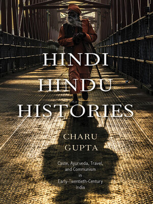 cover image of Hindi Hindu Histories